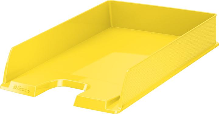 Image du produit Esselte Vivida (A4)