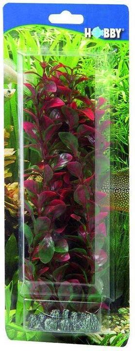 Produktbild Dohse Ludwigia, 34 cm (Dekoration, sonstige Bauten)