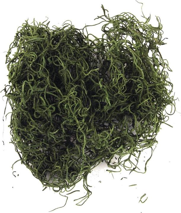 Image du produit Rayher Mousse de la jungle verte 20g