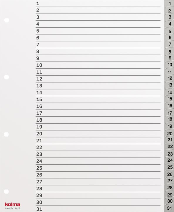 Kolma Index A4 XL superstrong 1-31 31-piece grey