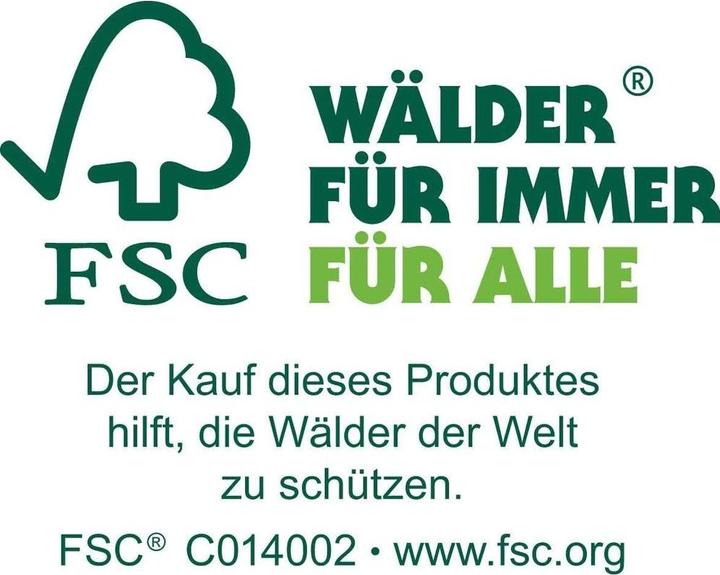 Image du produit Zeller Present Allzweckkiste (60 x 40 x 24 cm, 57.50 l)
