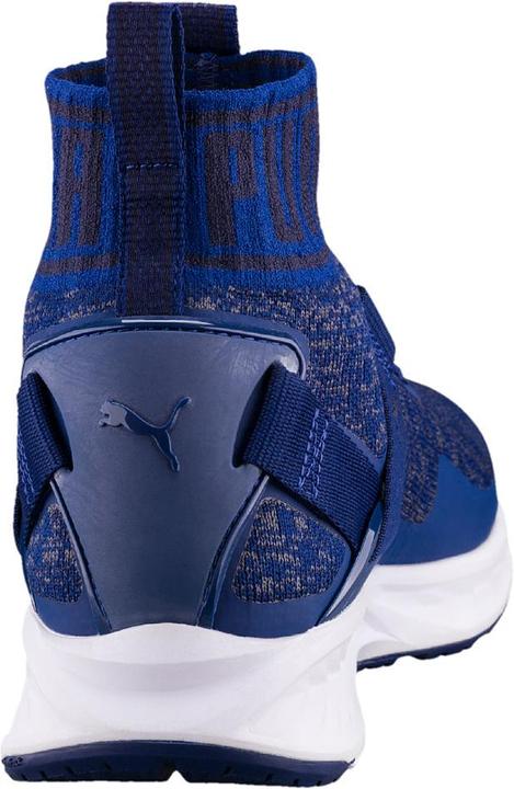 Image du produit Puma IGNITE evoKNIT (43)
