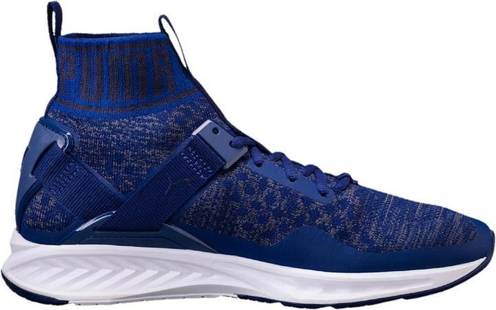 Image du produit Puma IGNITE evoKNIT (43)