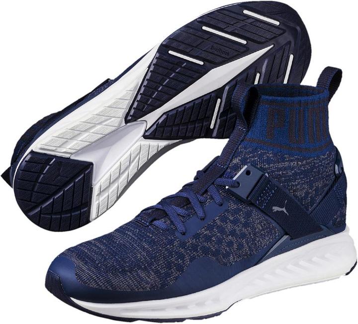 Image du produit Puma IGNITE evoKNIT (43)