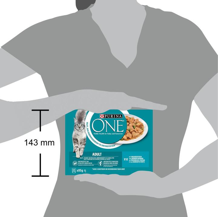 Immagine prodotto Purina ONE Con il pesce (Adulto, 12 pz., 1020 g)