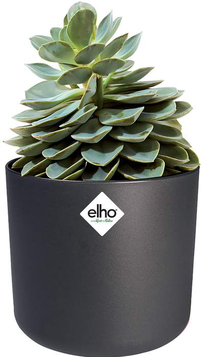 Actual product image Elho b.for soft (18.30 cm)