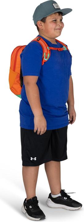 Produktbild Osprey Daylite Wanderrucksack 33.5 cm (9 l)