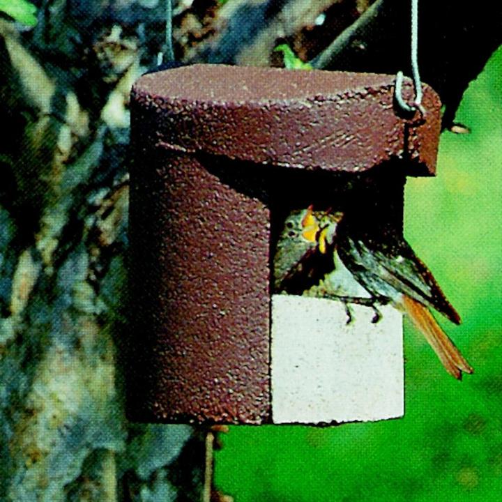 Immagine prodotto Schwegler Foro del nido