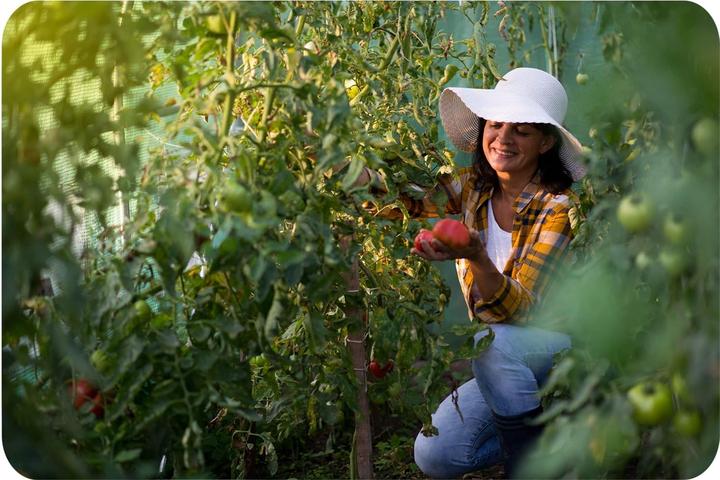Immagine prodotto Plonos Serra da giardino in vetro