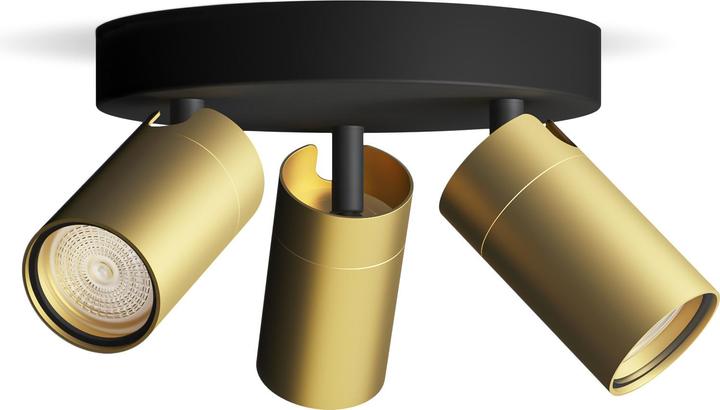 Actual product image Philips Idris (GU10)