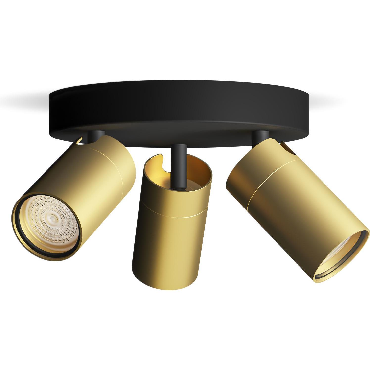 Philips, Wandleuchte + Deckenleuchte, Idris (GU10)