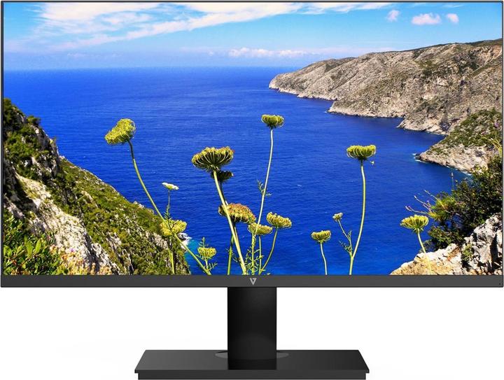 V7 23.8in Ips Monitor Displayport (1920 x 1080 pixels, 23.80")