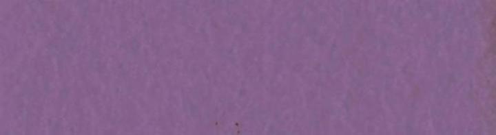Lilacs