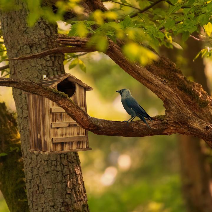 Produktbild Relaxdays Eulen-Nistkasten