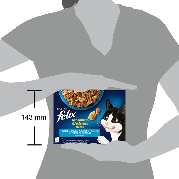 Produktbild Felix Gelée Fisch (Adult, 12 Stk., 1160 g)