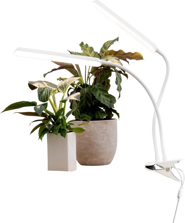 Image du produit Airam Tulip -kasvivalaisin, /840, 780 lm, valkoinen