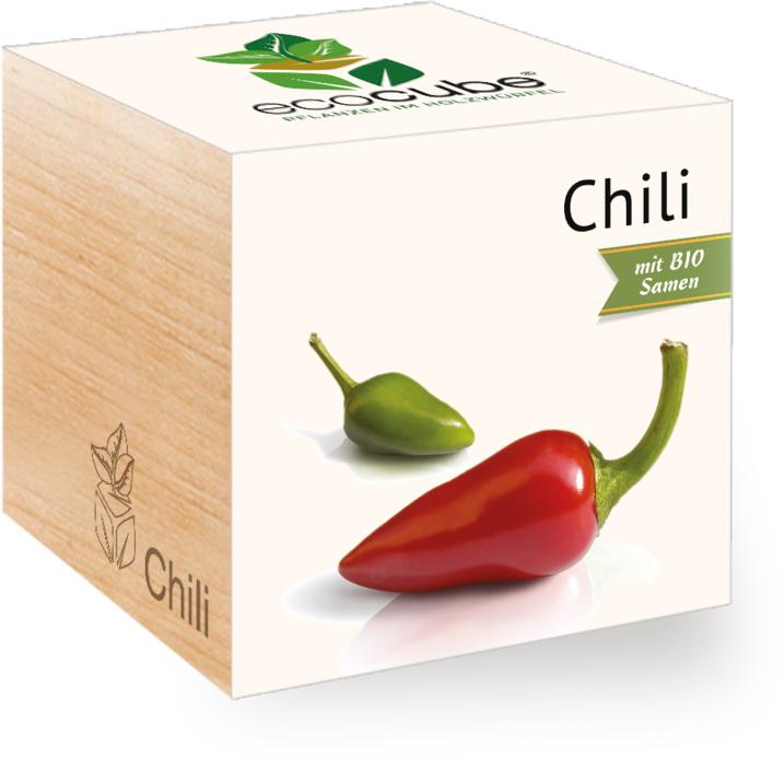 Feel Green Ecocube (Graines de légumes)