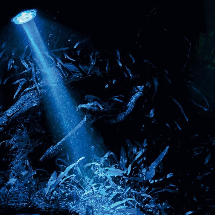 Image du produit Hobby Tache de bulle d'air (LED)