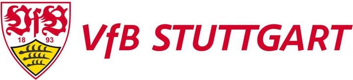 Actual product image VfB Stuttgart Logo lettering (60 x 14 cm)