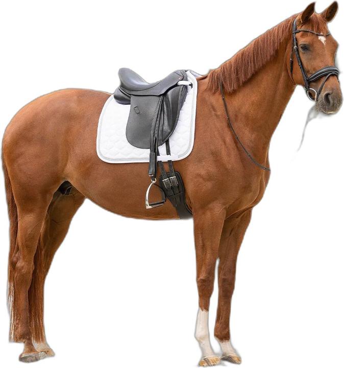 Produktbild Qhp Sparkle