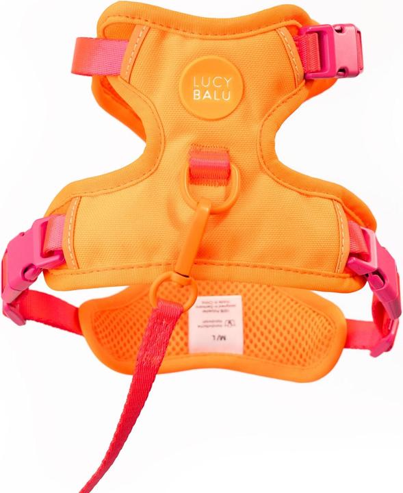Produktbild LucyBalu EXPLORER Katzengeschirr (M, L, Katze)
