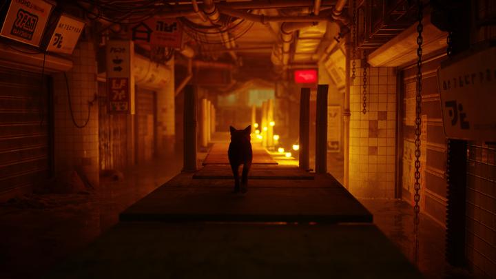 Produktbild Annapurna Interactive Stray (PS5, EN)