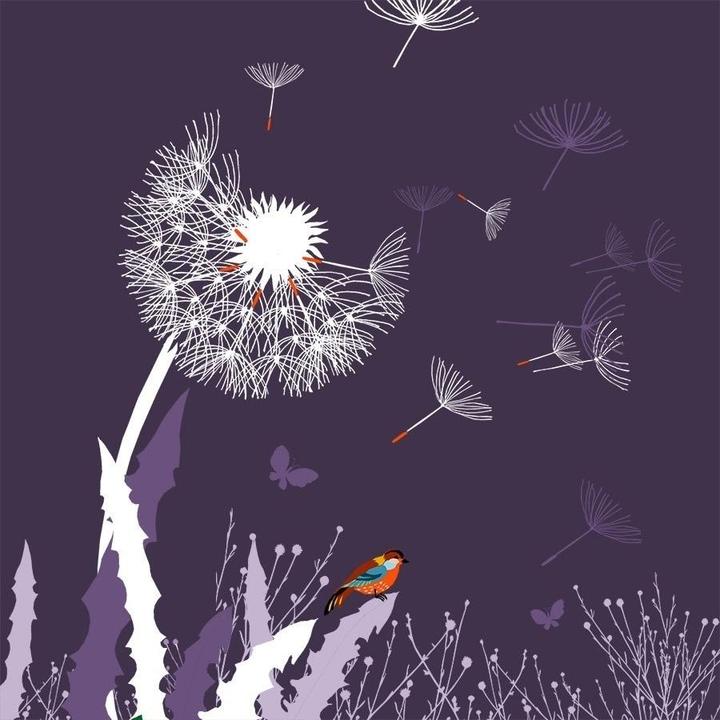 Produktbild Clear Creation Swarovski Karte Quadratisch CL3404 Pusteblume