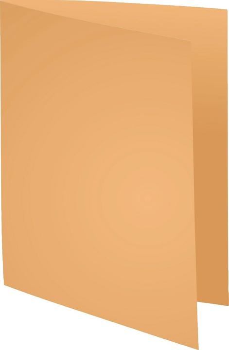 Actual product image Exacompta Future Jura 250 (A4, 100x)