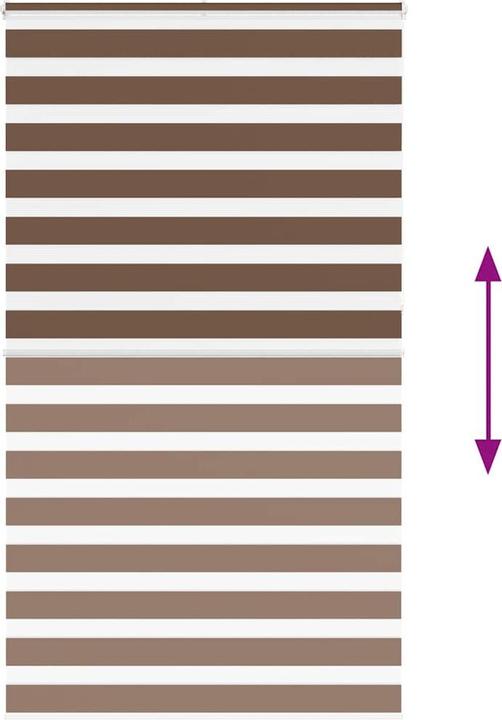 Produktbild vidaXL Zebra-Jalousie (125 x 230 cm)