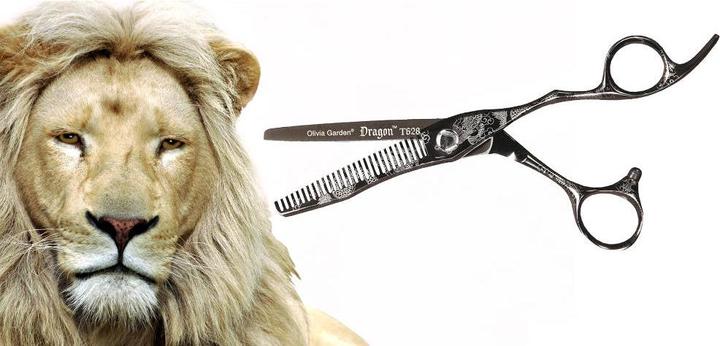 Immagine prodotto Olivia Garden Drago (15.50 cm)