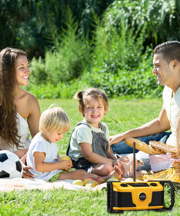 Image du produit Ueme DB-322 (jaune-noir) (DAB, DAB+ DAB)