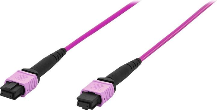 Actual product image Digitus FO Cable 50/125µ. OM4. MPO/MPO Female. 10m (UTP, CAT6, 10 m)
