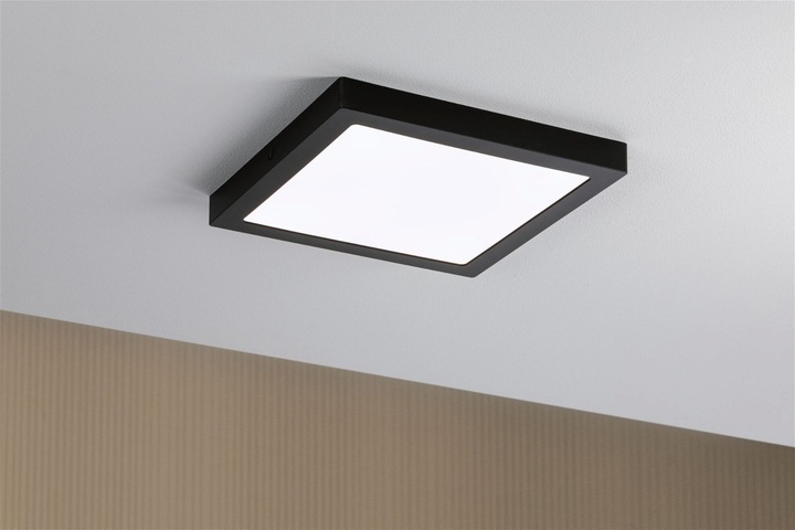 Actual product image Paulmann Abia (2000 lm)