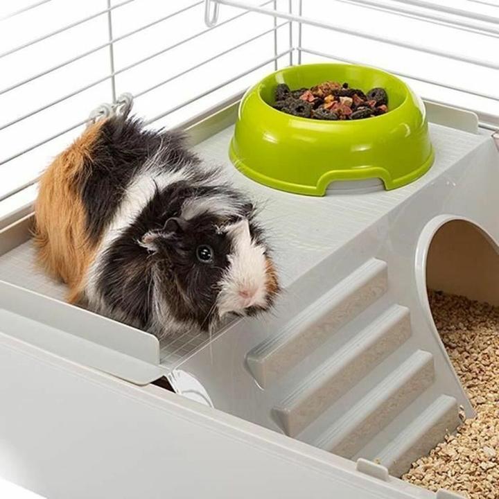 Actual product image Ferplast Guinea pigs 80 - Narvas