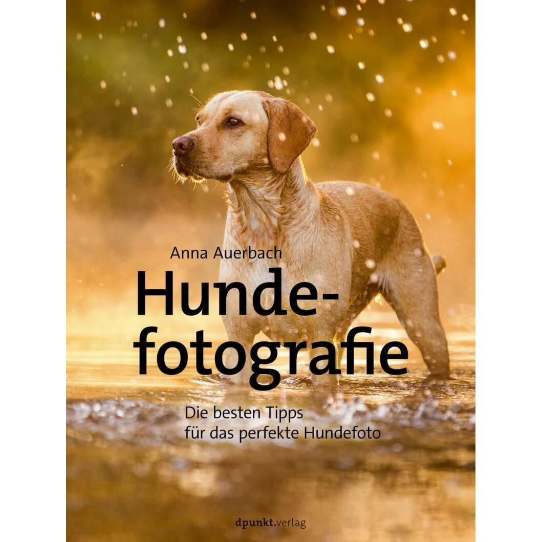 Hundefotografie, Ratgeber von Anna Auerbach