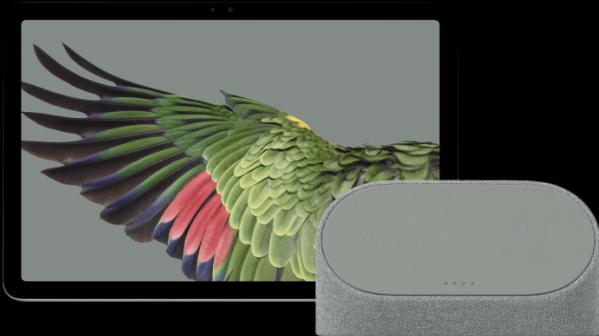 Immagine prodotto Google Pixel EU (Solo WiFi, 10.95", 256 GB, Nocciola)