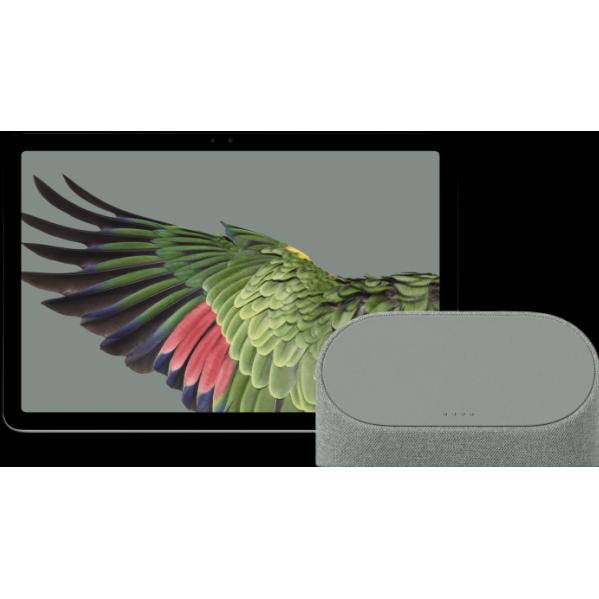 Google Pixel EU (nur WLAN, 10.95", 256 GB, Hazel), Tablet, Grau