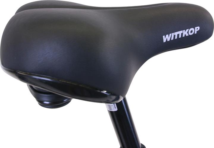 Actual product image Hawk Citytrek Lady Deluxe (53 cm)