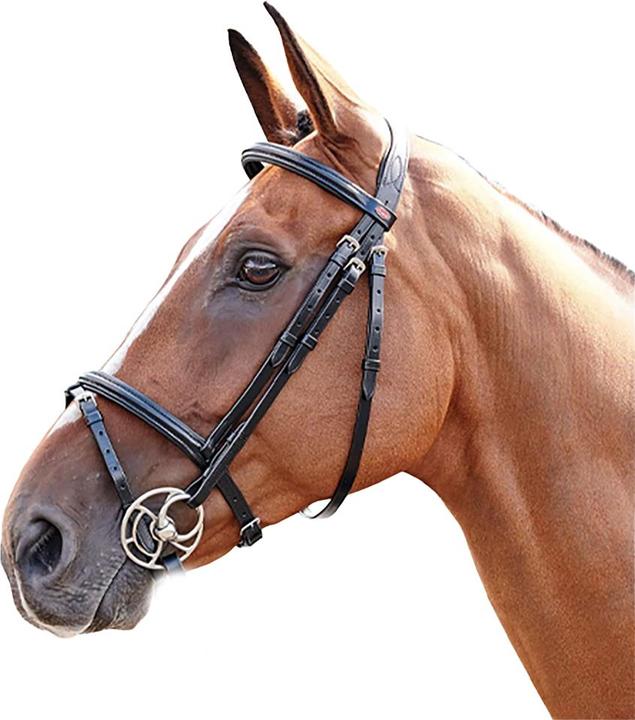 Actual product image Barton Leather Plain Horse Browband