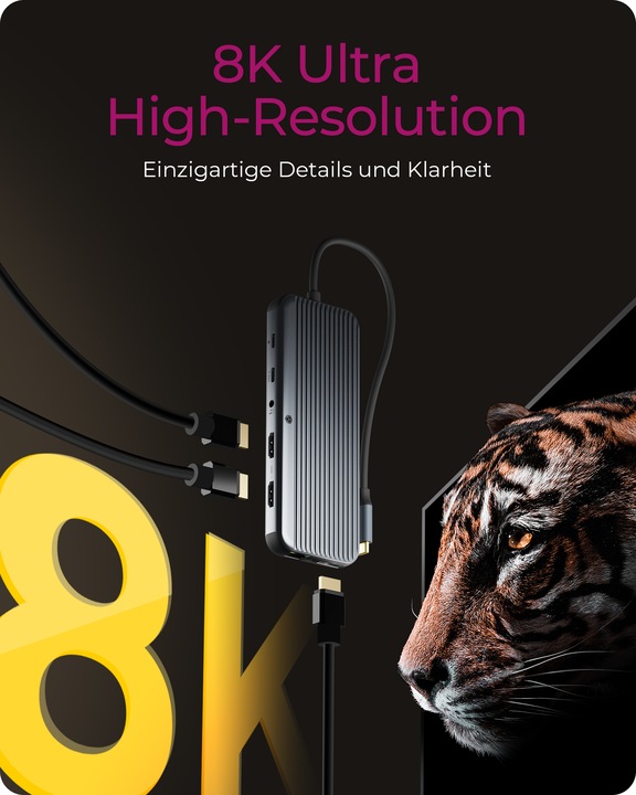 Immagine prodotto Icy Box IB-DK4060-CPD (USB-C, 12 Porti)