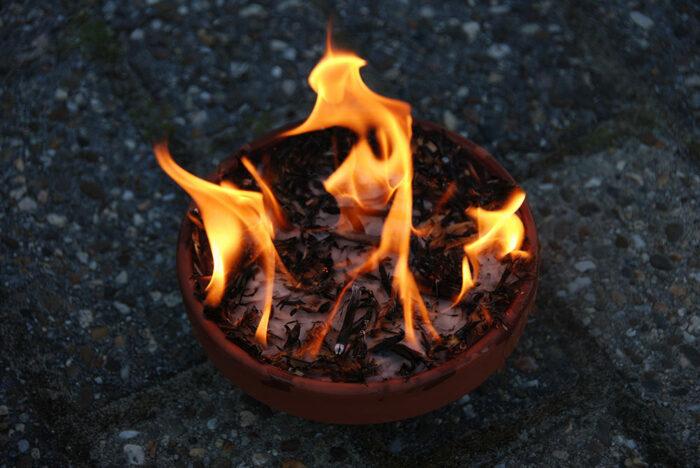 Actual product image Esschert Design Fire pan (15.50 cm)