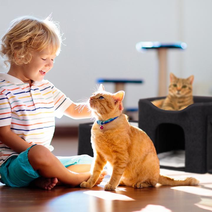 Productafbeelding Relaxdays Kattengrot (Kat)