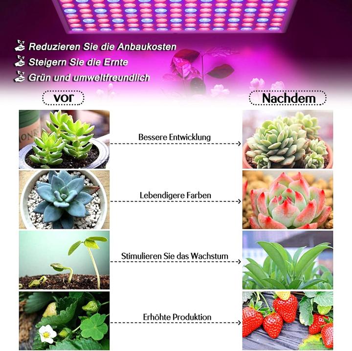 Produktbild Aufun Wachstumslampe (LED)
