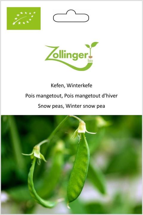 Zollinger Bio Kefen (Germes)