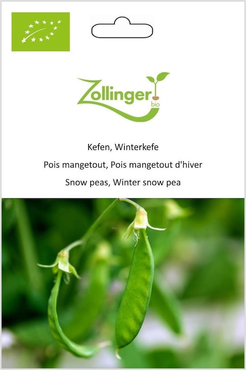 Produktbild Zollinger Bio Kefen, Winterkefe (Keimlinge)