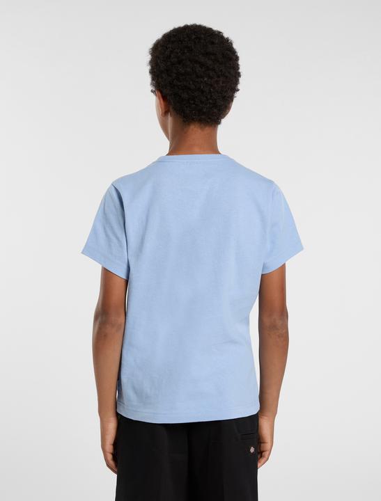 Produktbild Dickies Youth Logo Tee (L)