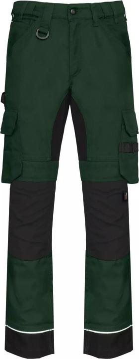 forestgreen.black