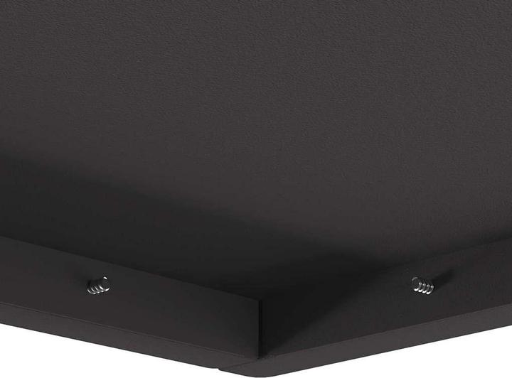 Image du produit vidaXL Foyer (80 cm)