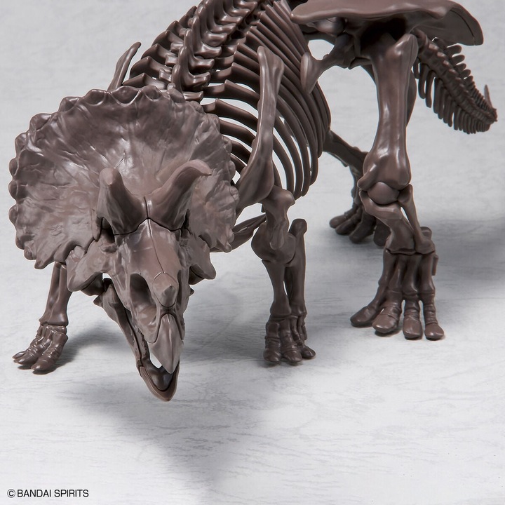 Produktbild Bandai Imaginäres Skelett 1/32 Triceratops
