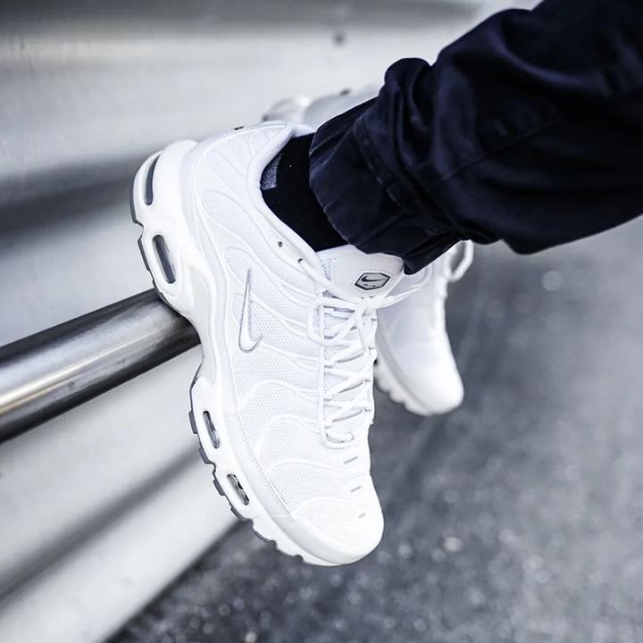Actual product image Nike Air Max Plus (46)